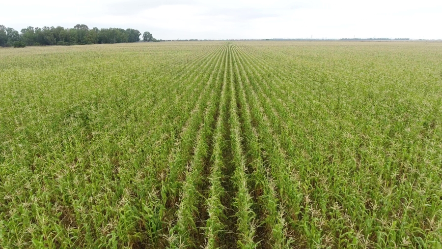 6 Bedroom Property for Sale in Ventersburg Free State